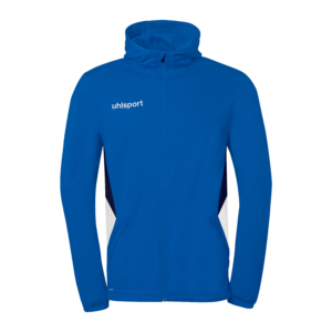 Sweat à capuche Équipe 29 (azur) - Kids